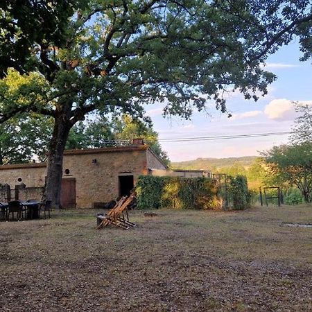 Agriturismo Torrenieri Da Alessandro Pienza Exterior photo