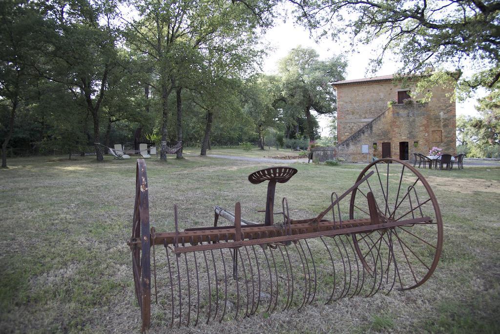 Agriturismo Torrenieri Da Alessandro Pienza Exterior photo
