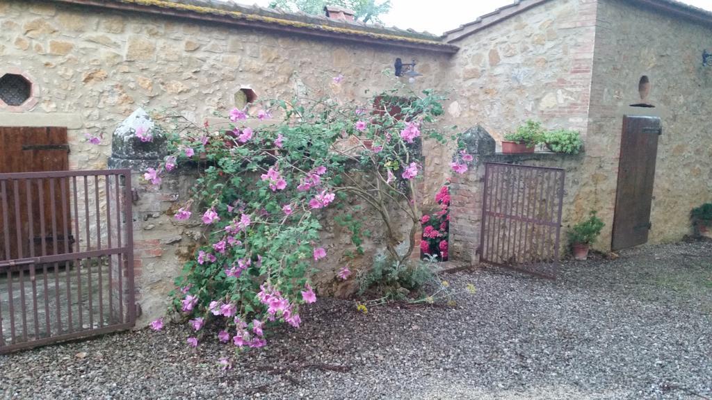 Agriturismo Torrenieri Da Alessandro Pienza Exterior photo